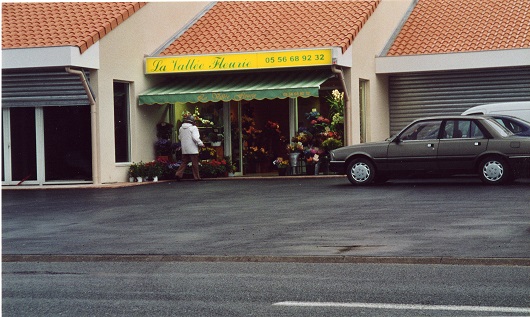 p2111-8.jpg