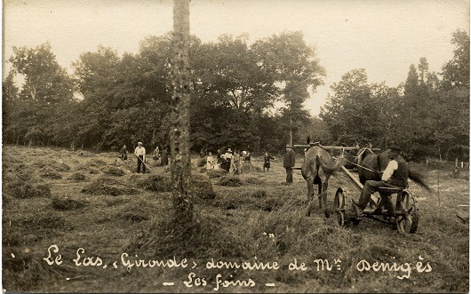p2411-11.jpg