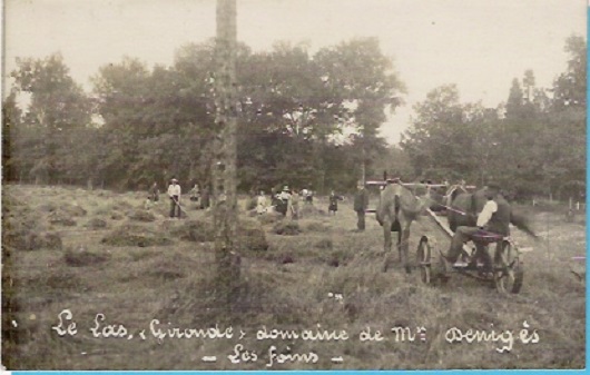 p2411-3.jpg