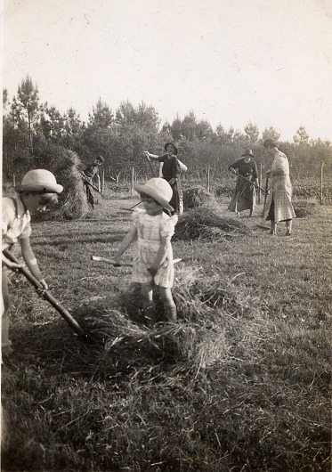 p2411-8.jpg