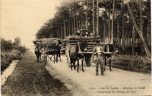 p2431-5.jpg