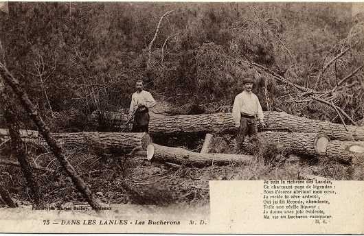 p2432-2.jpg