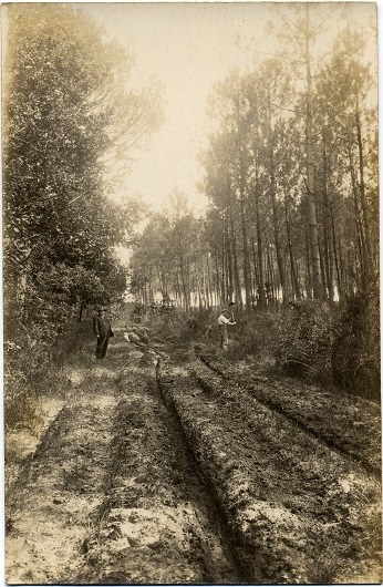 p2432-4.jpg