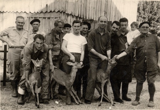 p423-12.jpg