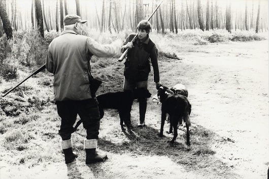 p423-8.jpg