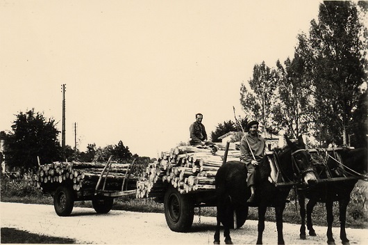 p5522-9.jpg