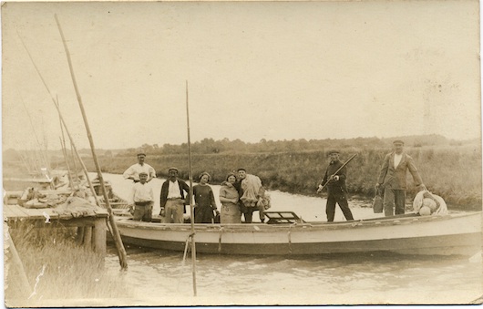 p557-1.jpg